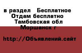  в раздел : Бесплатное » Отдам бесплатно . Тамбовская обл.,Моршанск г.